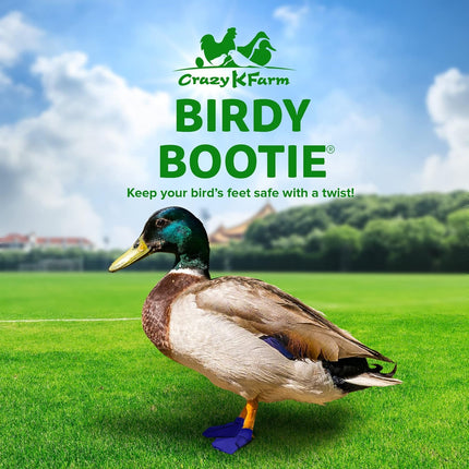 Duck Shoes for Injured Feet – Protective Neoprene Footwear for Ducks, Protective Shoes for Birds with Injured feet, Bumblefoot Relief - Large, 4.5” Max. Inside Width - Royal Blue