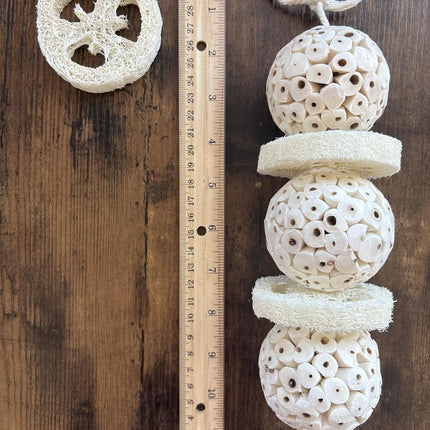 Shred & Destroy Natural Bird Toy - Double Texture Soft & Crunchy - Sola Ball and Loofah Plant - Medium Birds - Cockatiels, Conures - 2 Pack