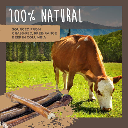 Mighty Paw Naturals Bully Sticks - All-Natural Protein-Rich Dog Chews from Grass-Fed Beef. Single-Ingredient Pet Treat for Dental Health. Keeps Chewers Busy - Dental Chew Dog Bully Stick