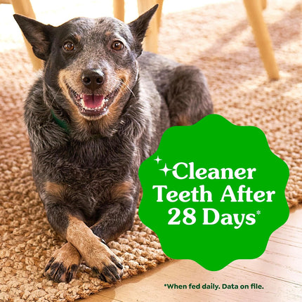 Greenies Veterinarian-Recommended Adult Natural Dental Dog Treats Regular Size, Dog Dental Chews, Original Flavor, 6 oz. Pack, 6 Count