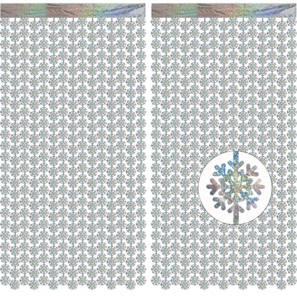 Iridescent Party Streamers Backdrop 3.2ft x 6.5ft 2 PCS