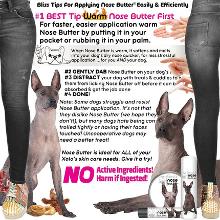 The Blissful Dog Xoloitzcuintli Nose Butter, Versatile Dog Nose Balm for Dry Nose, Handcrafted Nose Moisturizer, Easy-to-Apply Dog Essentials, Unscented, 0.15 oz.