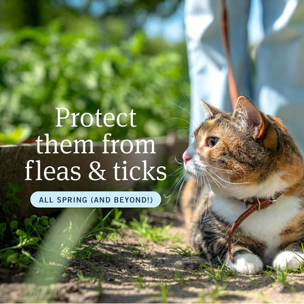 PetArmor Plus Flea and Tick Prevention for Cats, Cat Flea and Tick Treatment, 3 Doses, Waterproof Topical, Fast Acting, Cats Over 1.5 lbs