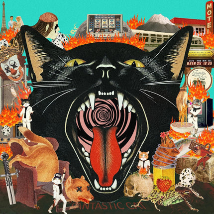 Cat Out of Hell
