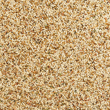 Wild Harvest Daily Blend Nutrition Diet for Parakeet, Canary and Finch 10 Pounds, Orange flavour