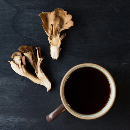 Rishi Tea Reishi Mushroom Organic Botanical Blend-- 15 Tea Bags